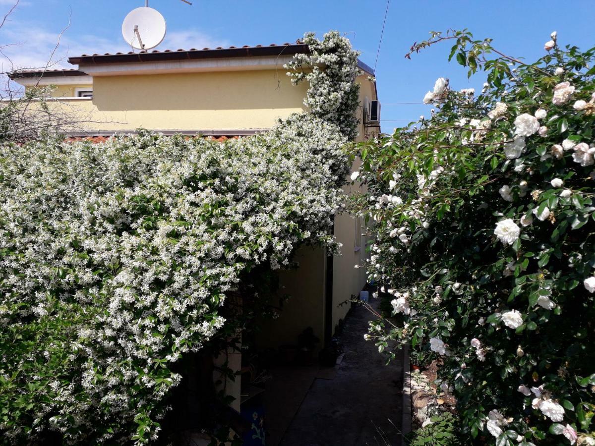 Apartment Samanta Sisan Exterior photo